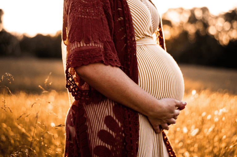vegan pregnancy