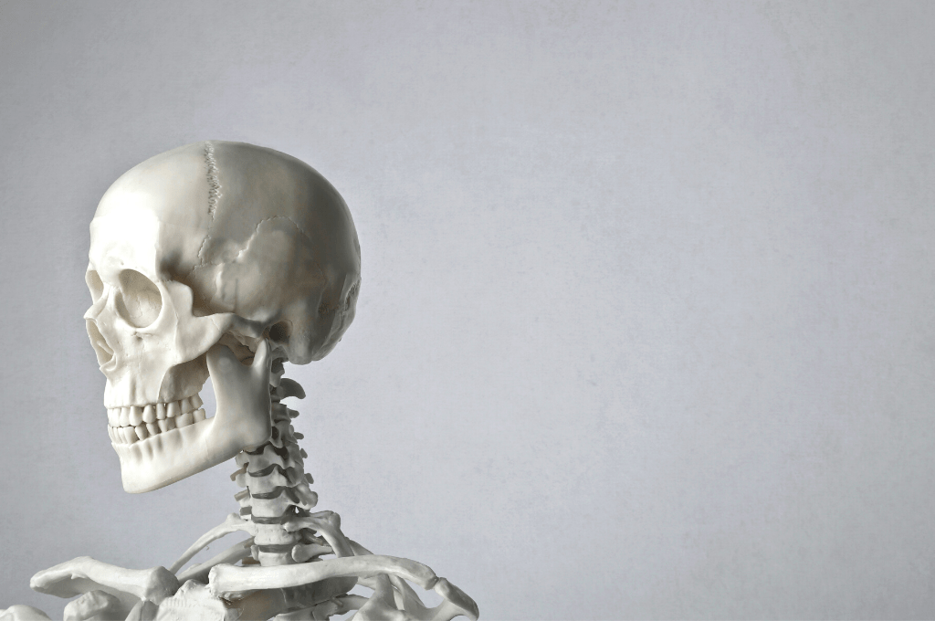 Skeleton calcium