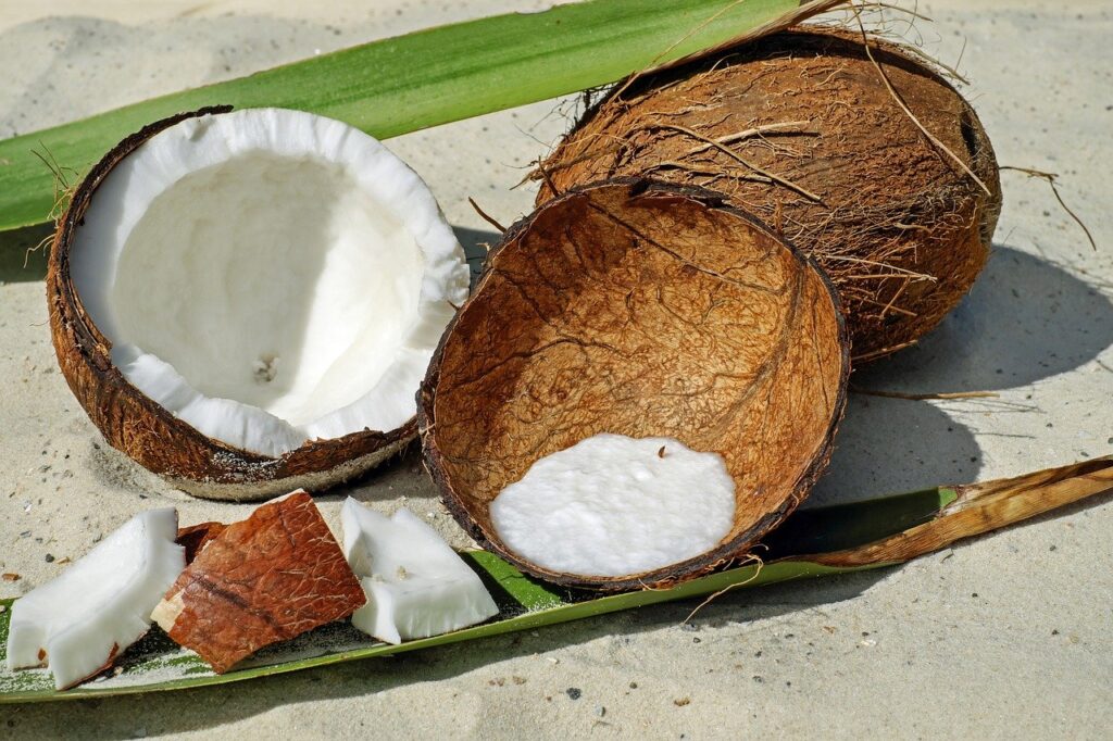 coconut, nut, shell-2637727.jpg