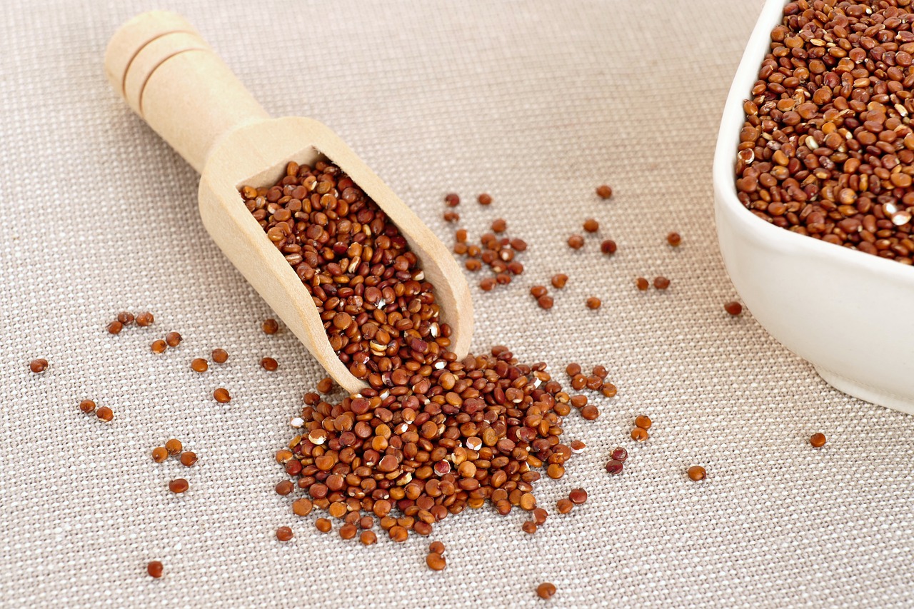 quinoa, andean millet, superfood-6636013.jpg