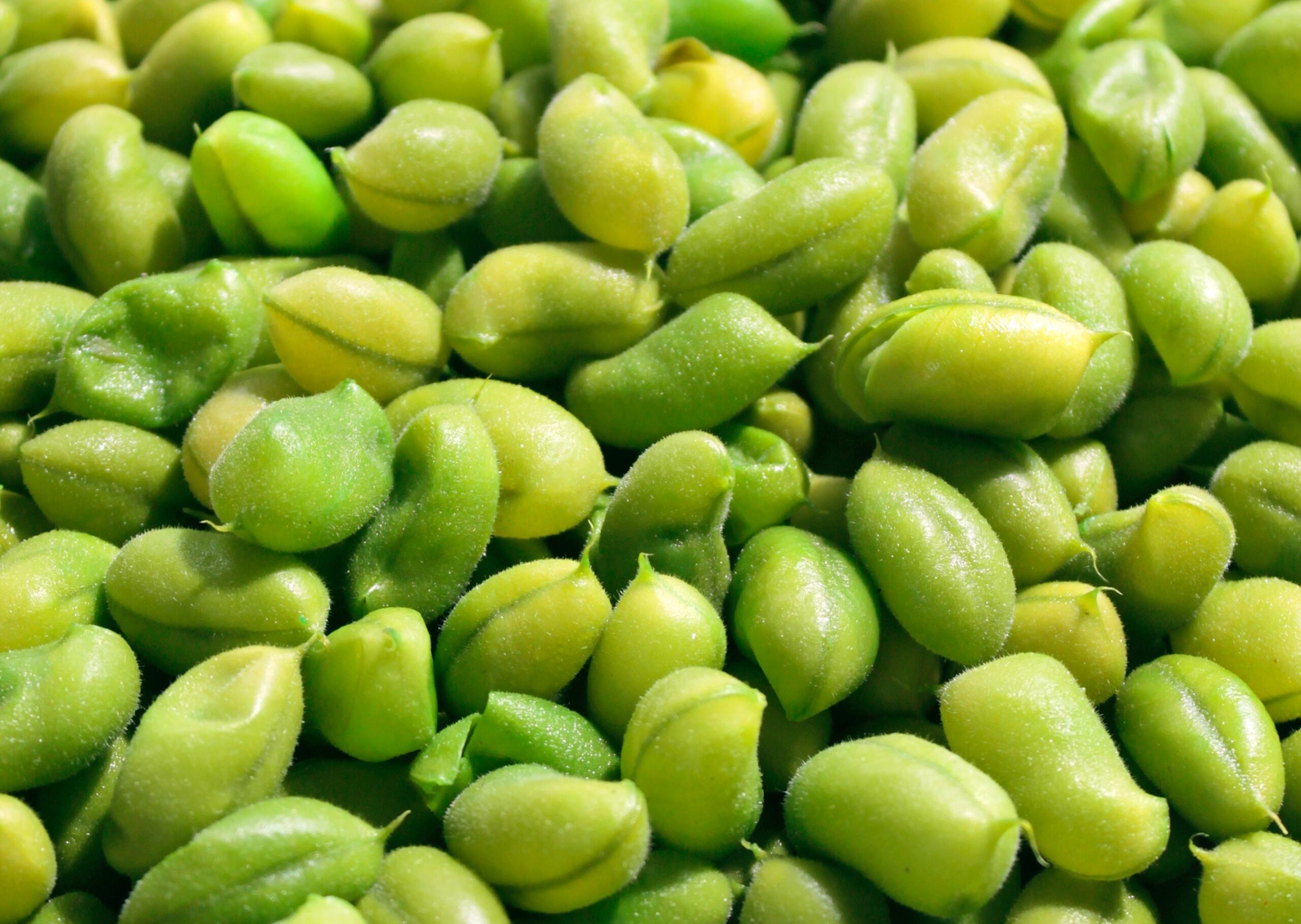 edamame high in folate